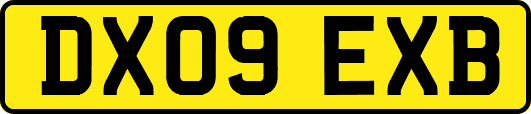 DX09EXB
