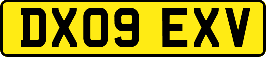 DX09EXV