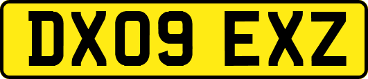 DX09EXZ