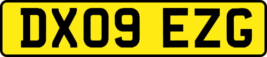 DX09EZG