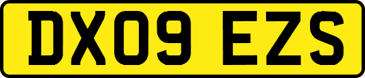 DX09EZS
