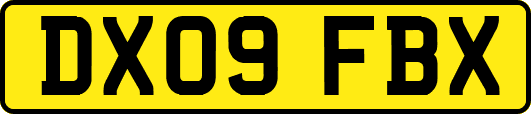 DX09FBX