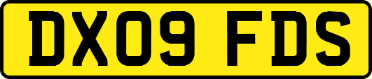 DX09FDS