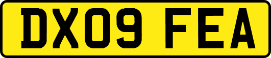DX09FEA