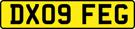 DX09FEG