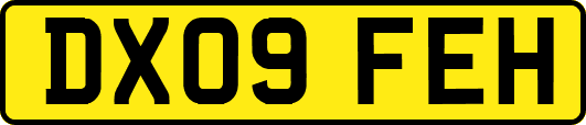 DX09FEH