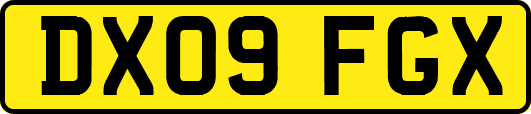 DX09FGX