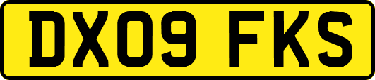 DX09FKS