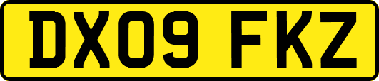 DX09FKZ