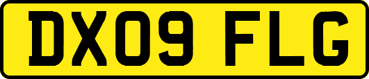 DX09FLG