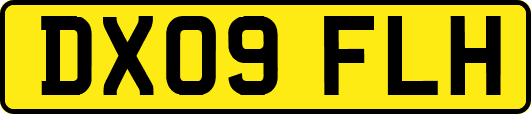 DX09FLH