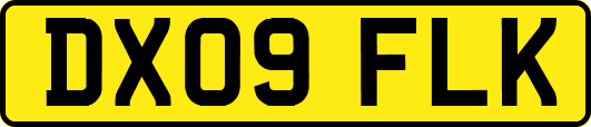 DX09FLK