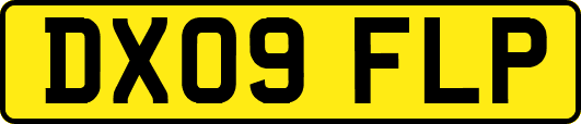DX09FLP