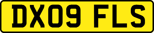 DX09FLS