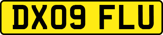 DX09FLU