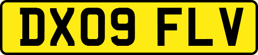 DX09FLV