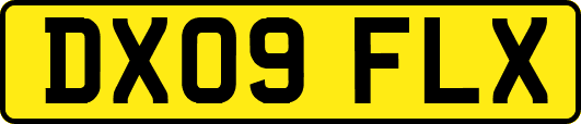 DX09FLX