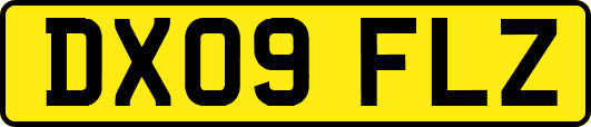 DX09FLZ