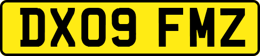 DX09FMZ