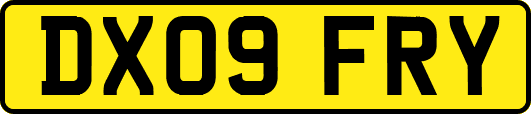 DX09FRY