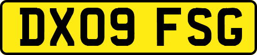 DX09FSG