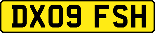 DX09FSH
