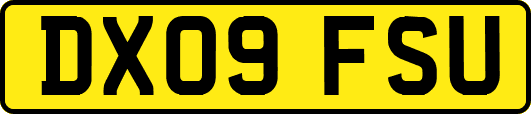 DX09FSU