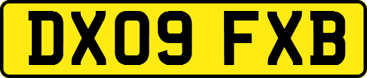 DX09FXB