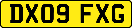 DX09FXG