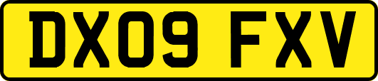 DX09FXV