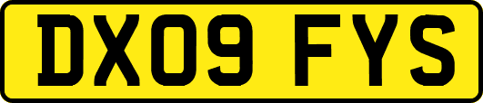 DX09FYS