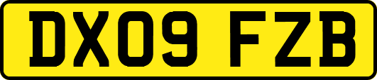 DX09FZB