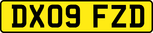 DX09FZD