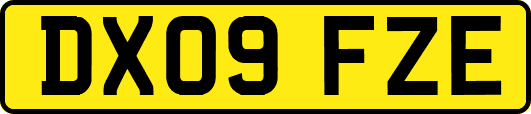 DX09FZE