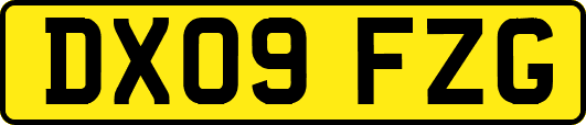 DX09FZG