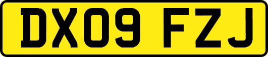 DX09FZJ