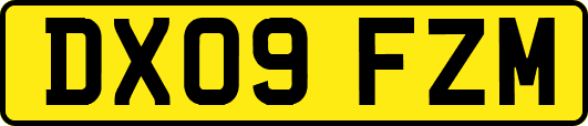 DX09FZM
