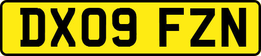 DX09FZN
