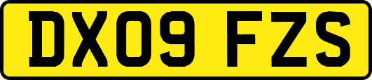 DX09FZS