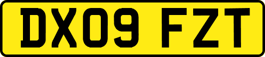 DX09FZT