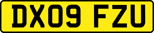 DX09FZU