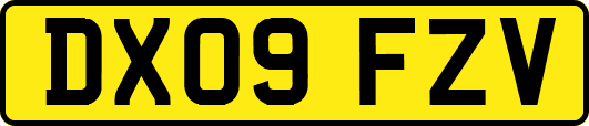 DX09FZV