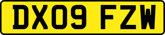 DX09FZW