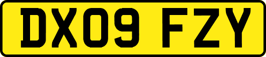 DX09FZY