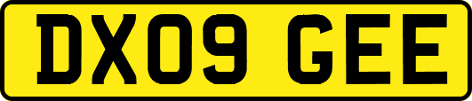 DX09GEE