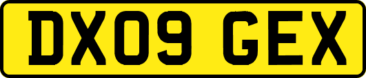DX09GEX