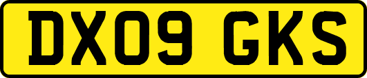 DX09GKS