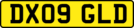 DX09GLD