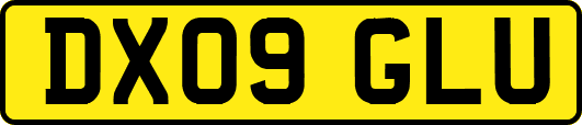 DX09GLU