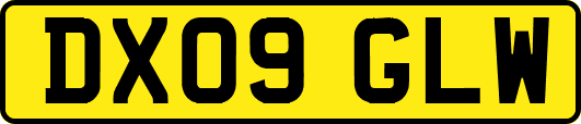 DX09GLW